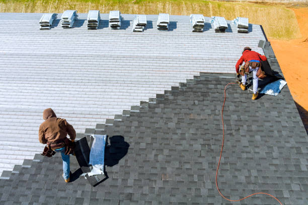 Roof Gutter Cleaning in Bradford, TN