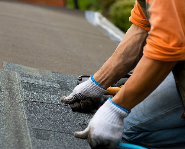 Best Roof Gutter Cleaning  in Bradford, TN